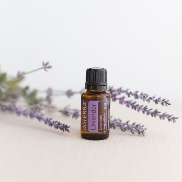 doTerra lavender essential oil 15ml vial on a countertop next to a sprig on lavender.